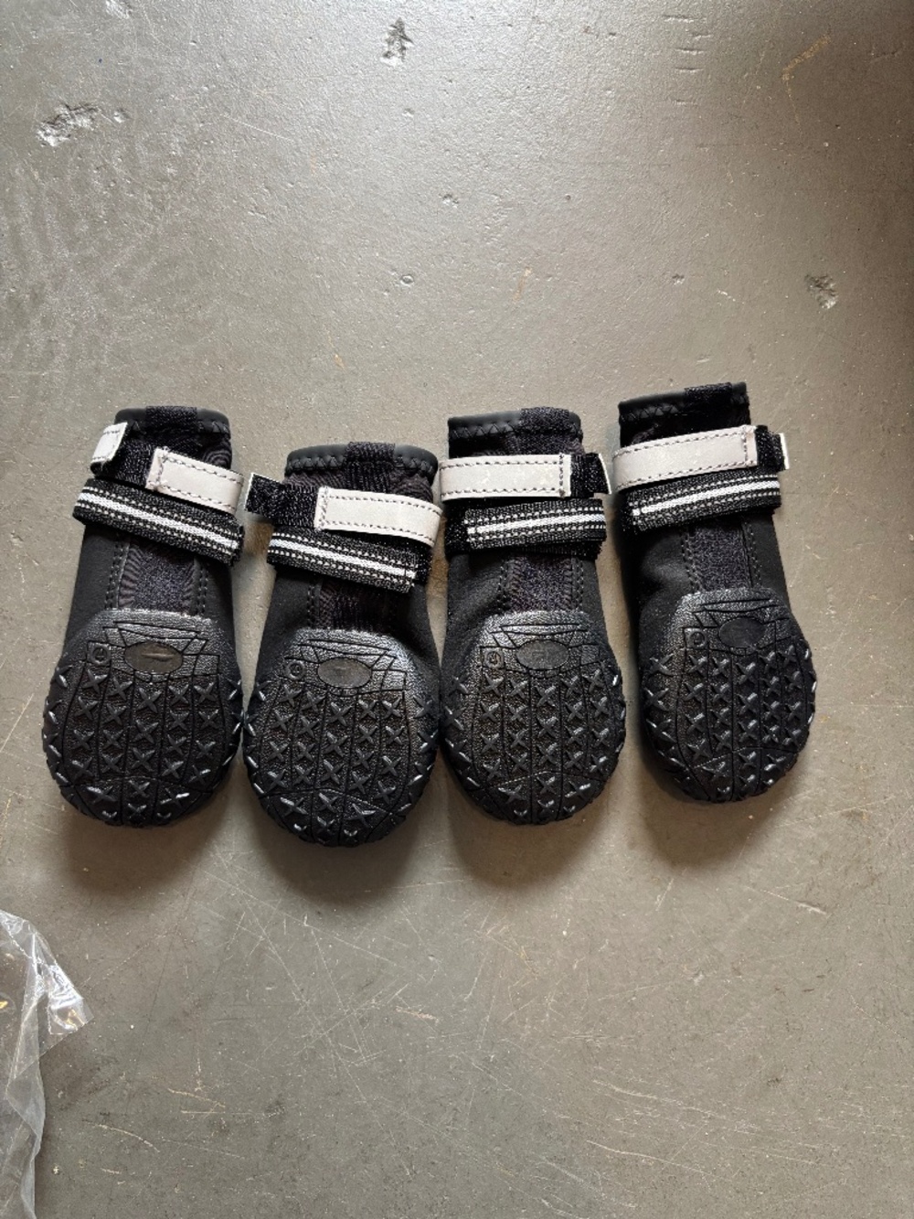 Dog boots size 4